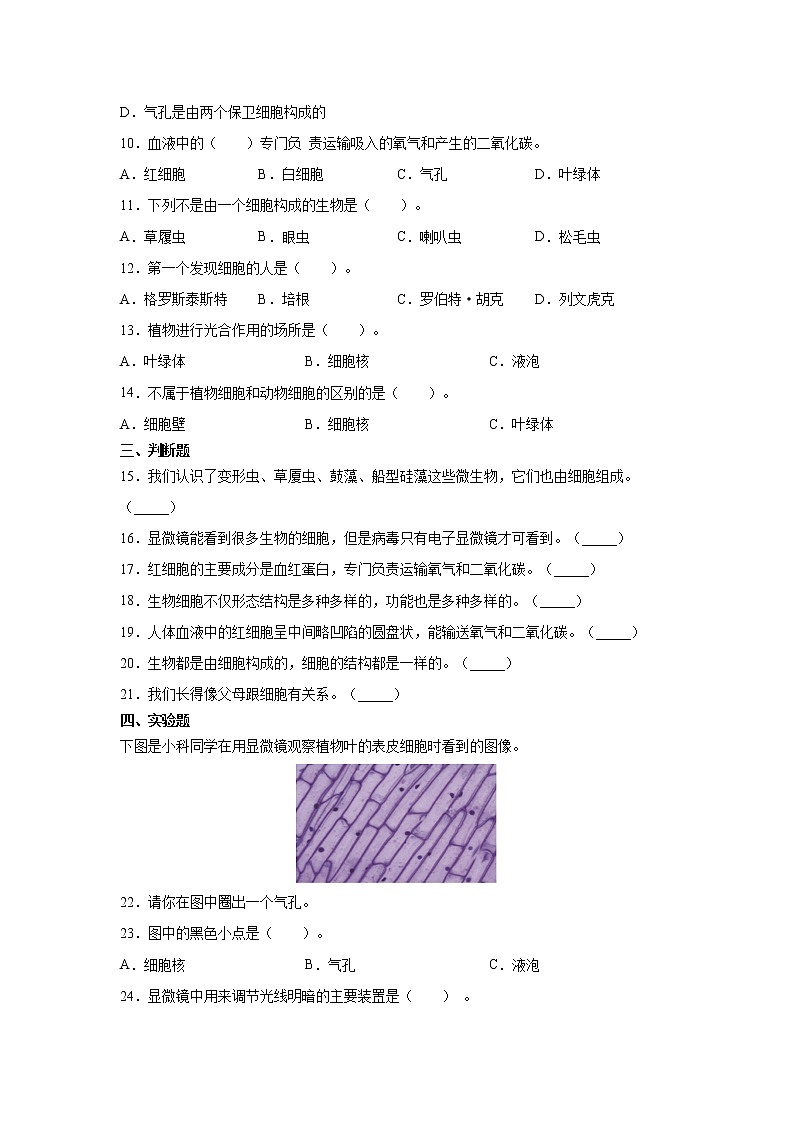 （教科版2017）科学六年级上册1.5.观察更多的生物细胞（同步练习） 含答案02