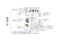 教科版五上科学思维导图