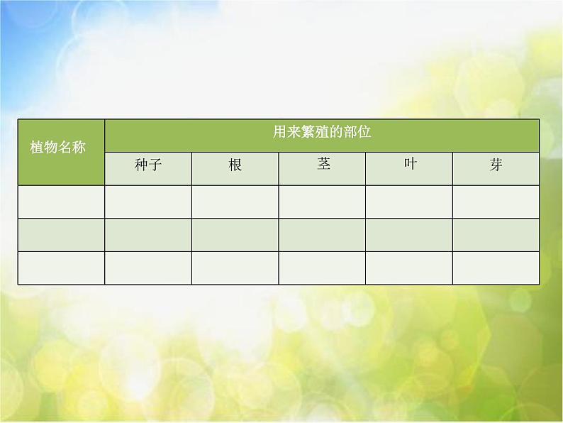 苏教小学科学五下《3.1.不用种子也能繁殖吗》PPT课件(2)04