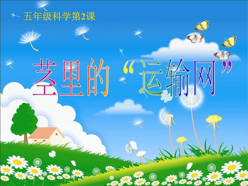 粤教版小学五年级上学期科学第2课茎里的“运输网”课件第2页