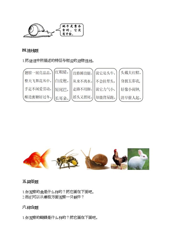 第二单元 动物 单元测试卷-2020-2021学年科学一年级下册-教科版（含答案） (91)03