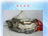 15课  认识岩石课件PPT