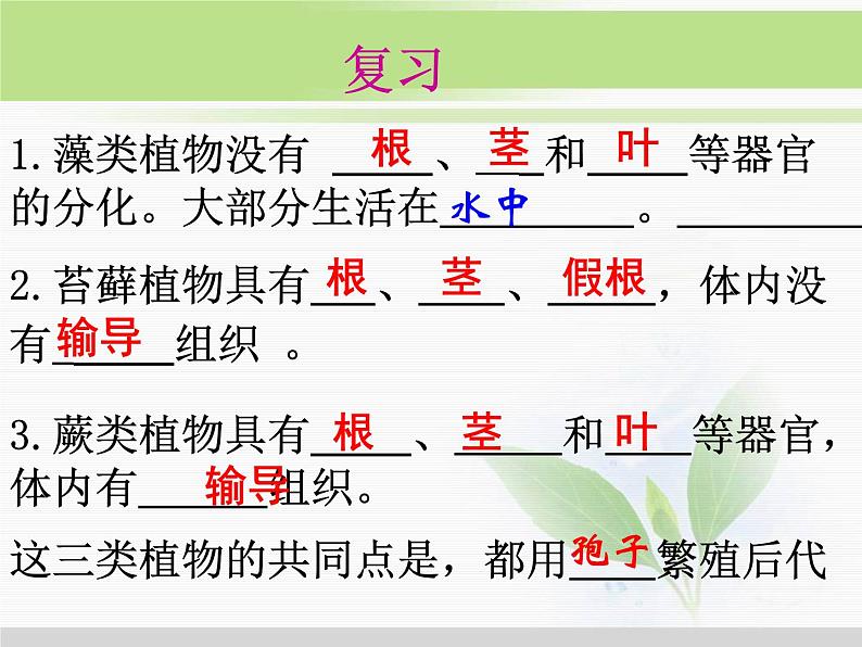 人教版小学科学三年级下册2.1植物的种子PPT课件01