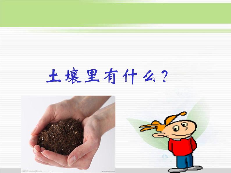 人教版小学科学三年级下册3.1土壤里有什么PPT课件04