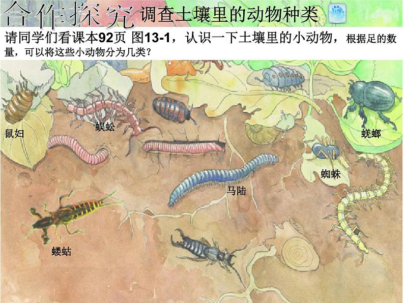 人教版小学科学三年级下册3.2土壤中的动物PPT课件06