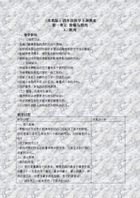 2021学年3.肌肉教案设计