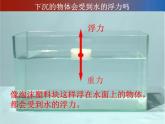 2020小学五年级下册科学课件-1.6下沉的物体会受到水的浮力吗教科版(12张)ppt课件