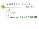 2020小学五年级下册科学课件-《遗传与变异》1人教版(85张)ppt课件