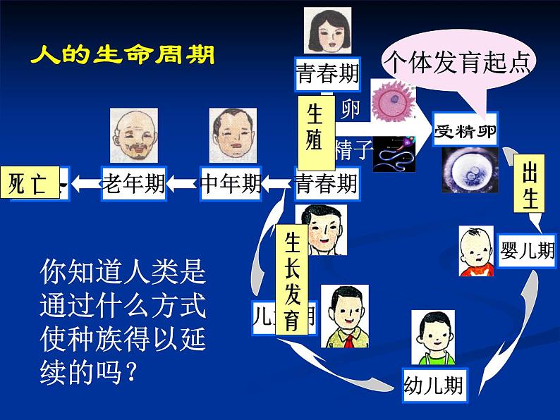 2020小学五年级下册科学课件-《动物的生长变化》1人教版(29张)ppt课件第6页