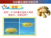 马铃薯在液体中的沉浮PPT课件免费下载