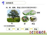 2020小学五年级上册科学课件-6谁吃谁鄂教版(11张)ppt课件