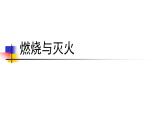 2020小学五年级下册科学课件-1.4《燃烧与灭火》2人教版(14张)ppt课件