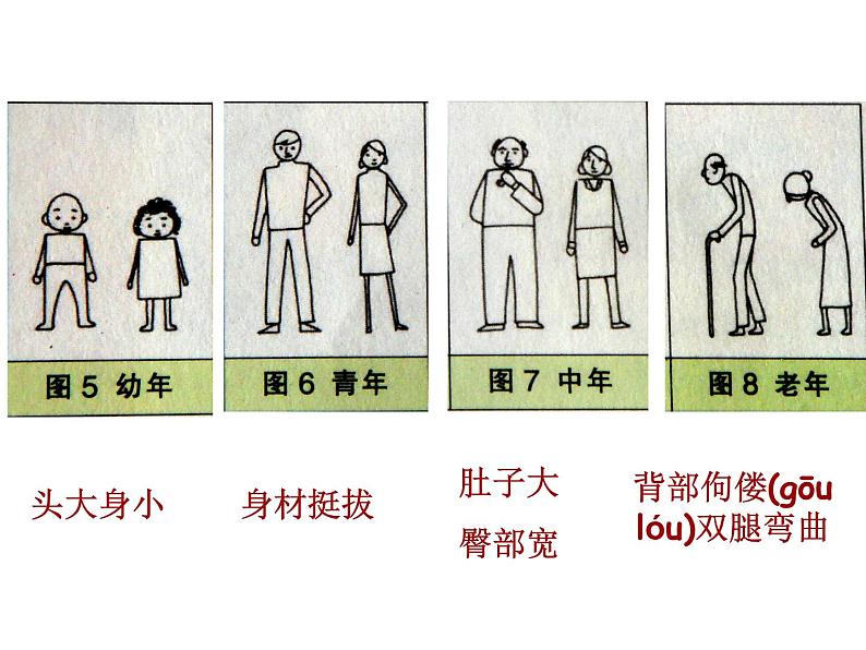 2020小学五年级下册科学课件-《我们的生长变化》1人教版(15张)ppt课件04