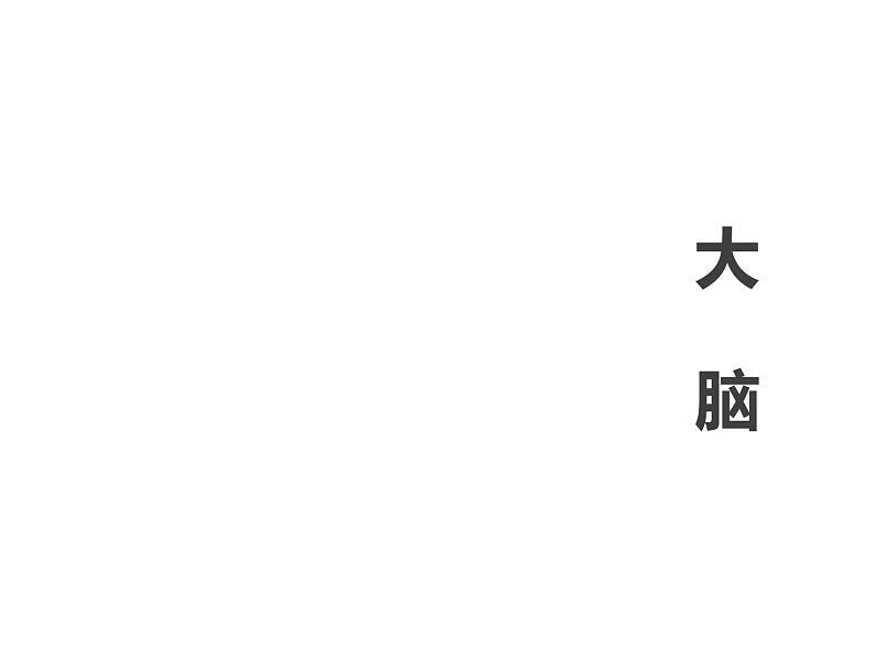 2020小学五年级下册科学课件5.1大脑苏教版(20张)ppt课件04