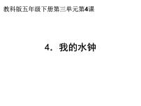 科学五年级下册4、我的水钟教课内容ppt课件