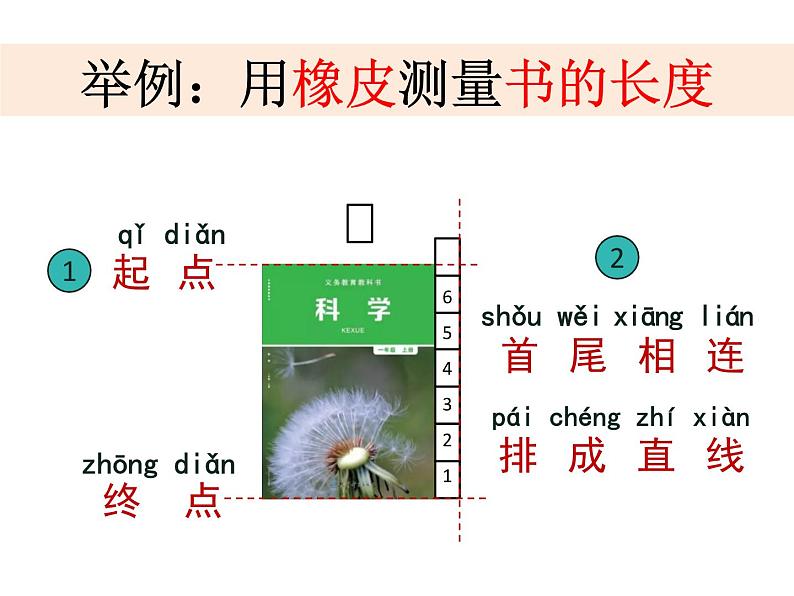 2020小学一年级上册科学课件-2.4用不同的物体来测量6教科版(9张)ppt课件06