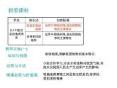 2020小学五年级下册科学课件-3.1《多样的地表形态》1人教版(19张)ppt课件