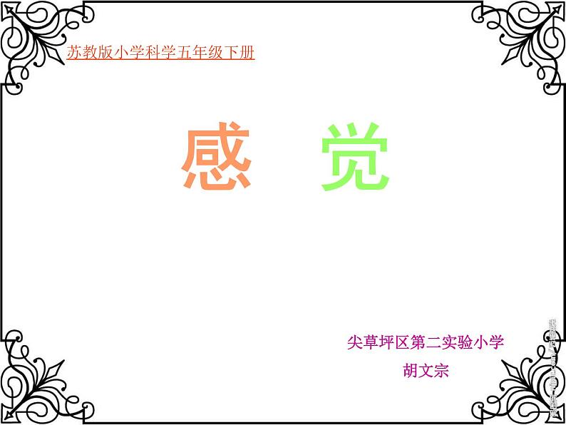 2020小学五年级下册科学课件5.3感觉苏教版(21张)ppt课件第2页