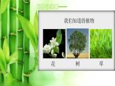 2020小学一年级上册科学课件1.1《我们知道的植物》教科版(11张)ppt课件