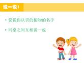 2020小学一年级上册科学课件1.1《我们知道的植物》教科版(11张)ppt课件(1)