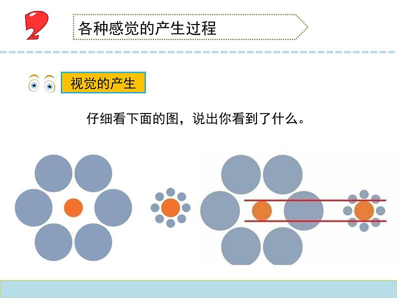 2020小学五年级下册科学课件5.3感觉苏教版(14张)ppt课件08