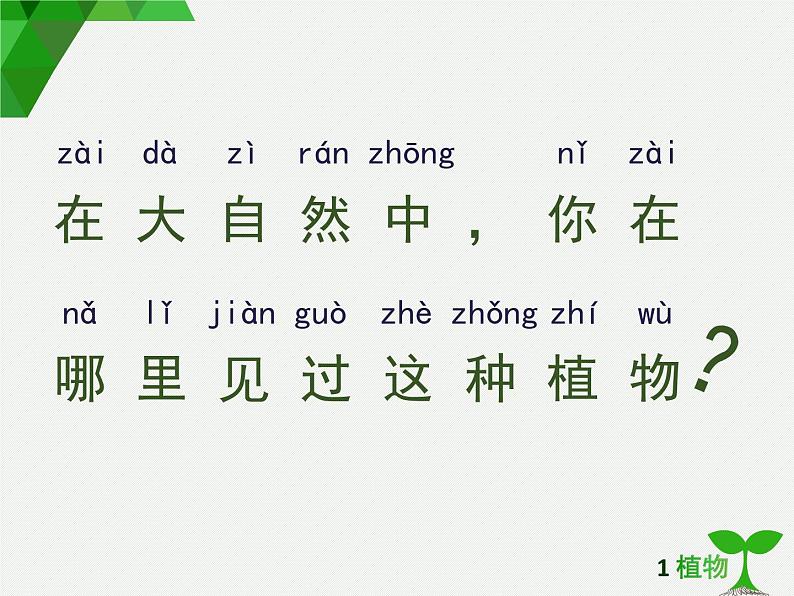 2020小学一年级上册科学课件-1.2观察一棵植物4教科版(7张)ppt课件第4页