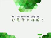 2020小学一年级上册科学课件-1.2观察一棵植物4教科版(7张)ppt课件