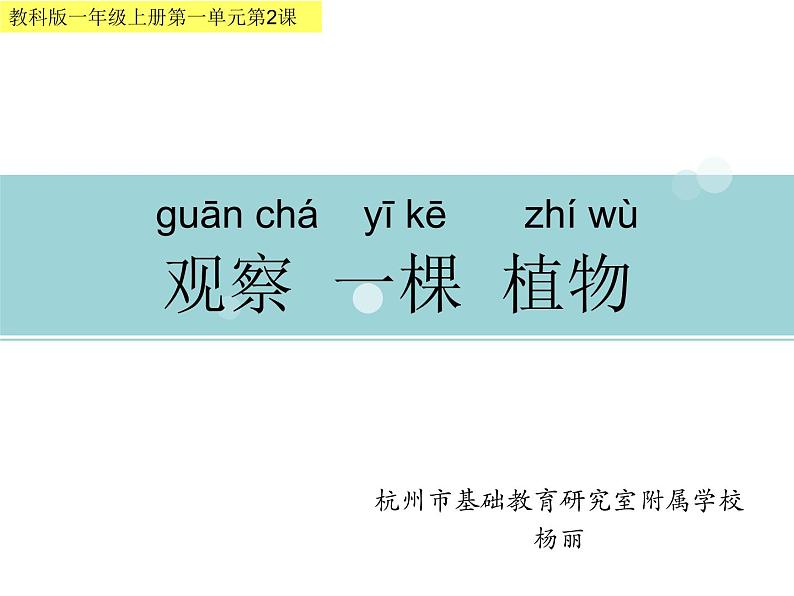 2020小学一年级上册科学课件-1.2观察一棵植物教科版(10张)ppt课件02