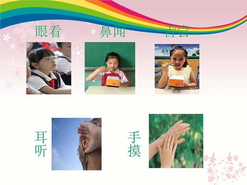 2020小学一年级下册科学课件《4水是什么样的》苏教版(22张)ppt课件07