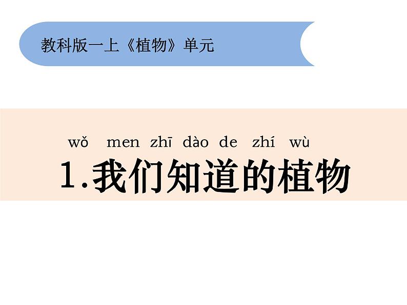 2020小学一年级上册科学课件-1.1我们知道的植物教科版(15张)ppt课件02