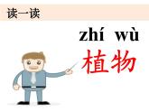 2020小学一年级上册科学课件-1.1我们知道的植物教科版(15张)ppt课件