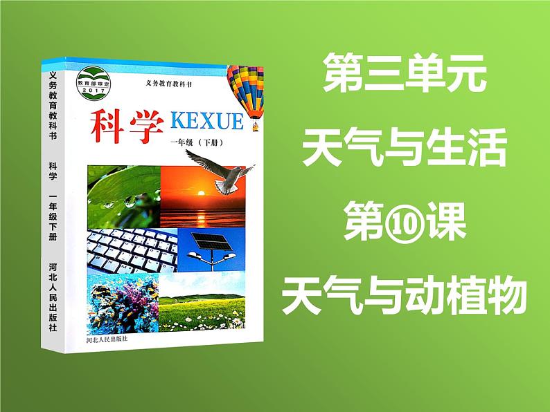 2020小学一年级下册科学课件10、天气与动植物冀人版24张ppt课件06