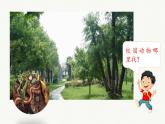 2020小学一年级下册科学课件-2.2《校园里的动物》教科版(7张)ppt课件