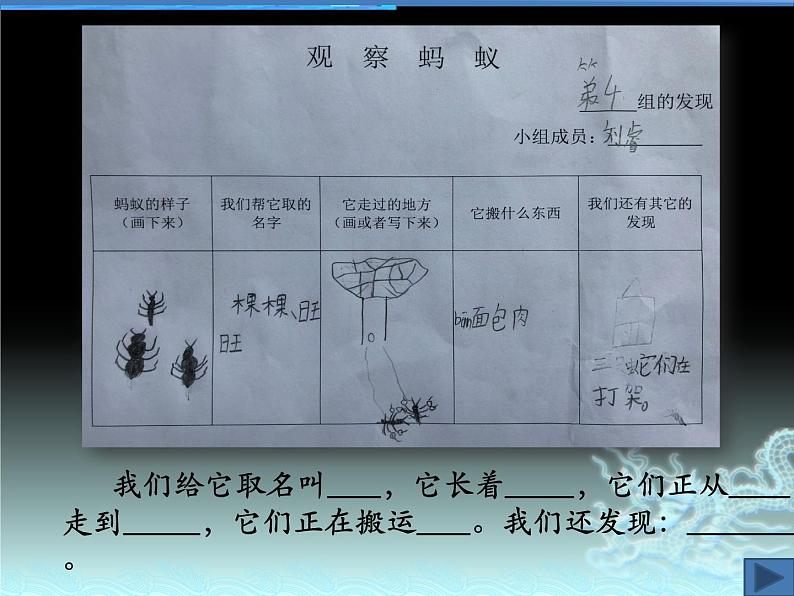 小学二年级下册科学-8.养蚂蚁苏教版(22张)ppt课件第8页