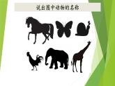 小学二年级下册科学课件1.《观察我们的身体》教科版(13张)ppt课件