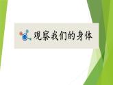 小学二年级下册科学课件1.《观察我们的身体》教科版(13张)ppt课件