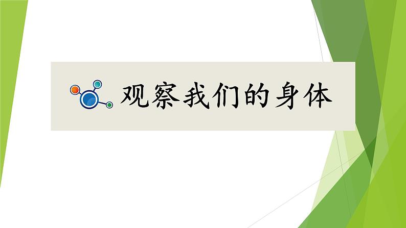 小学二年级下册科学课件1.《观察我们的身体》教科版(13张)ppt课件第3页