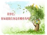 小学六年级上册科学课件-3鸟类动物的特征-冀人版(13张)ppt课件