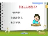 小学六年级上册科学课件-3鸟类动物的特征-冀人版(13张)ppt课件