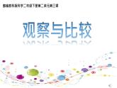 小学二年级下册科学课件3.《观察与比较》(6)教科版(20张)ppt课件