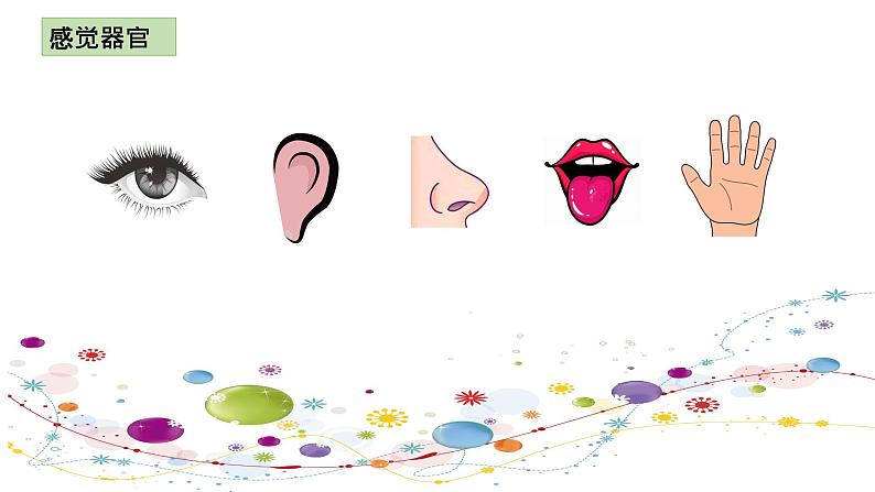 小学二年级下册科学课件3.《观察与比较》(6)教科版(20张)ppt课件03