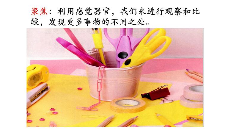 小学二年级下册科学课件3.《观察与比较》(6)教科版(20张)ppt课件04