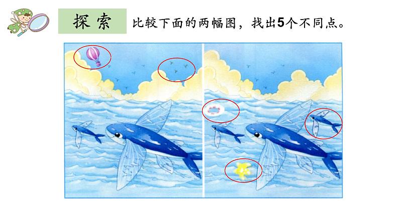 小学二年级下册科学课件3.《观察与比较》(6)教科版(20张)ppt课件06
