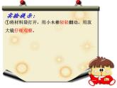 尋訪土壤中的小動物PPT課件免費下載