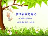 小学六年级下册科学-1.2悄悄发生的变化-苏教版(21张)ppt课件