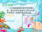 小学六年级下册科学--2.2-生物的变异现象-苏教版-(14张)ppt课件