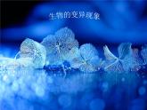小学六年级下册科学-2.2生物的变异现象-苏教版(20张)ppt课件