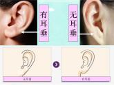 小学六年级下册科学-2.2生物的变异现象-苏教版(20张)ppt课件