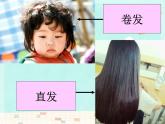 小学六年级下册科学-2.2生物的变异现象-苏教版(20张)ppt课件