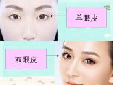 小学六年级下册科学-2.2生物的变异现象-苏教版(20张)ppt课件